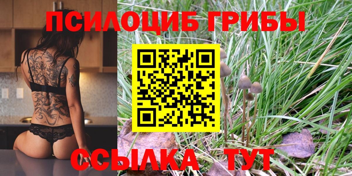 Галлюциногенные грибы Cubensis Златоуст